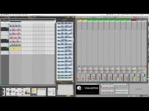 wavedna liquid rhythm intro software